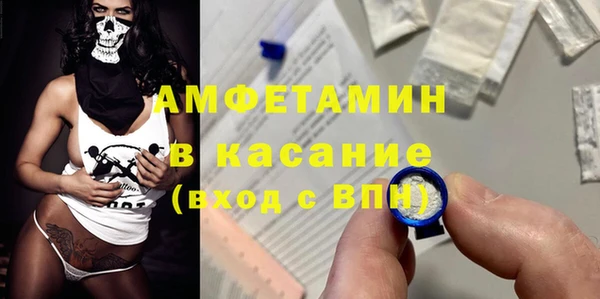 твердый Аркадак