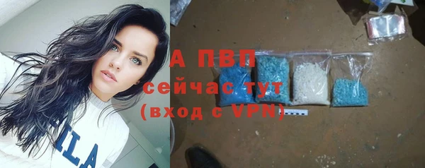 твердый Аркадак