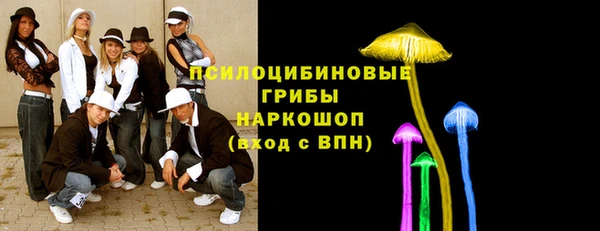 мяу мяу мука Арсеньев