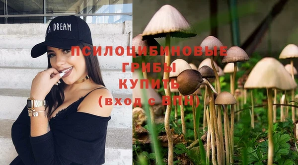 мяу мяу мука Арсеньев
